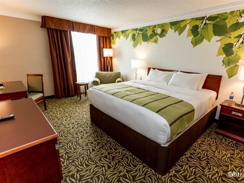Varscona Hotel On Whyte Edmonton Esterno foto
